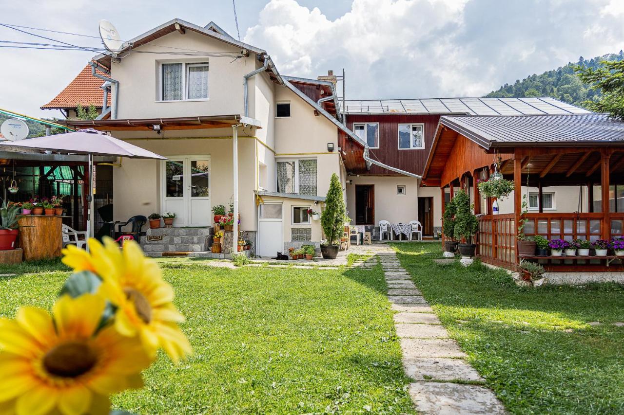 Buşteni 布什泰尼蒙坦旅馆酒店 外观 照片