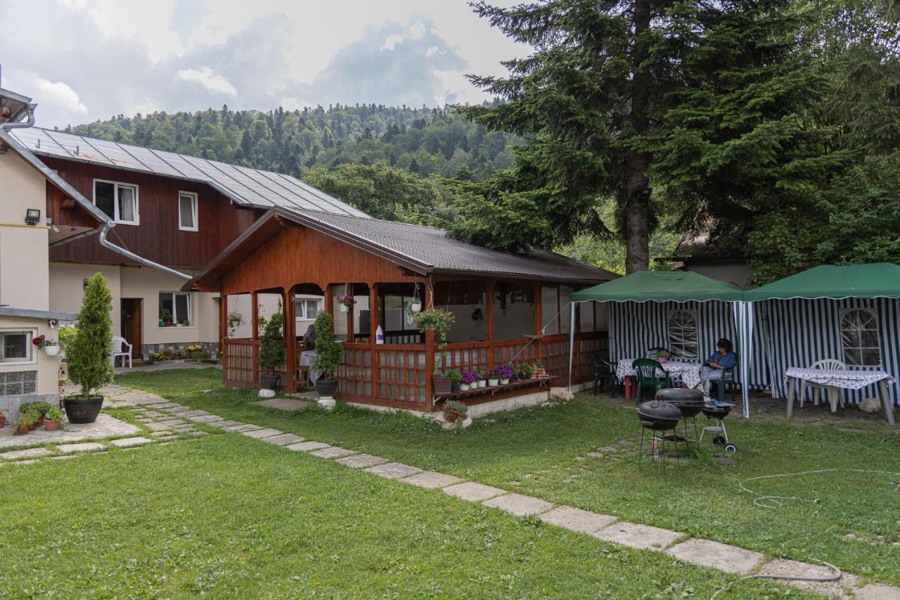 Buşteni 布什泰尼蒙坦旅馆酒店 外观 照片