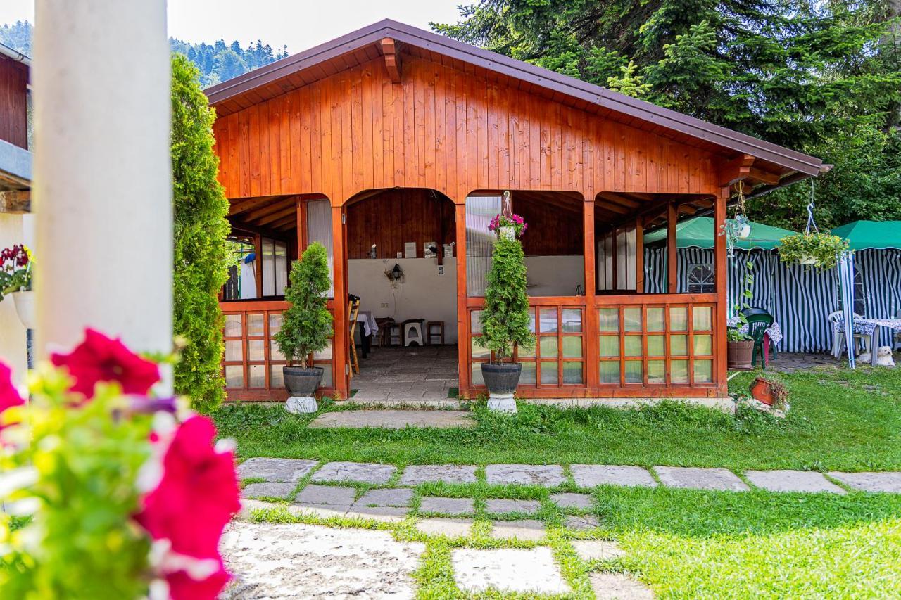 Buşteni 布什泰尼蒙坦旅馆酒店 外观 照片