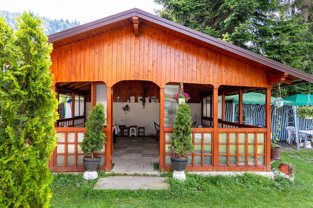 Buşteni 布什泰尼蒙坦旅馆酒店 外观 照片