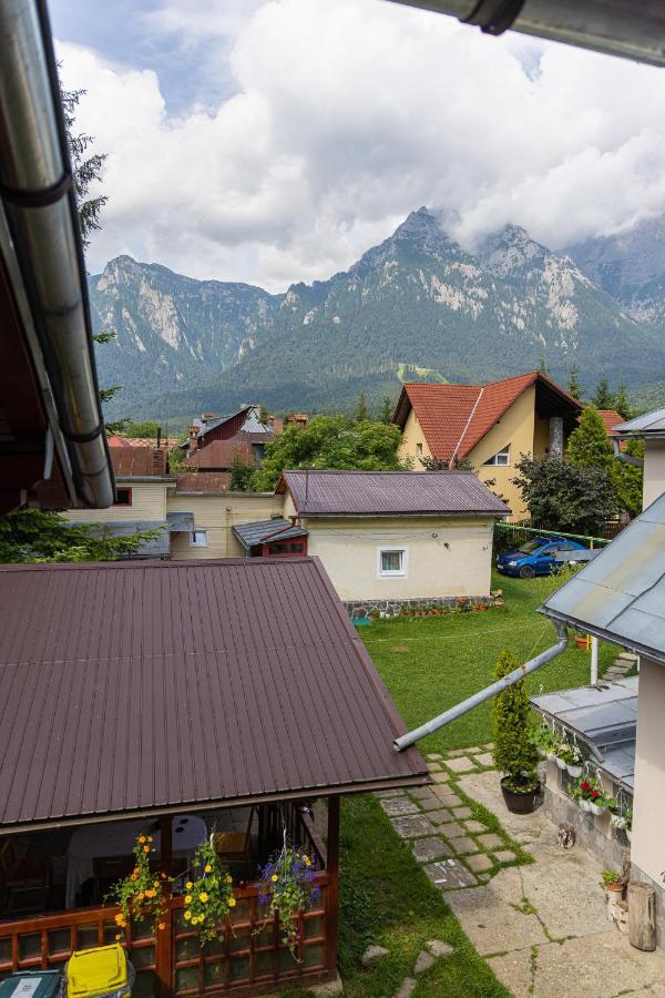 Buşteni 布什泰尼蒙坦旅馆酒店 外观 照片