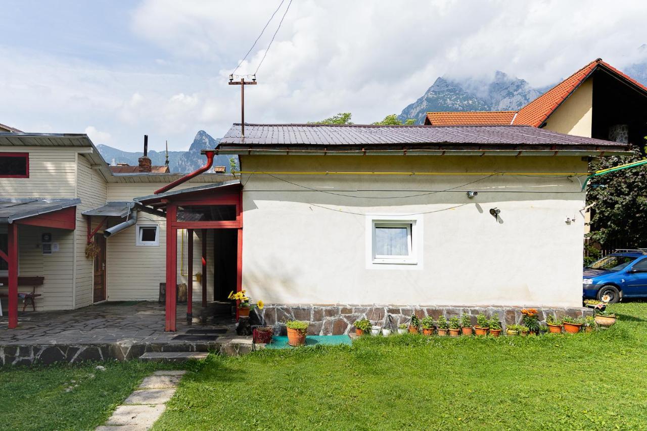 Buşteni 布什泰尼蒙坦旅馆酒店 外观 照片