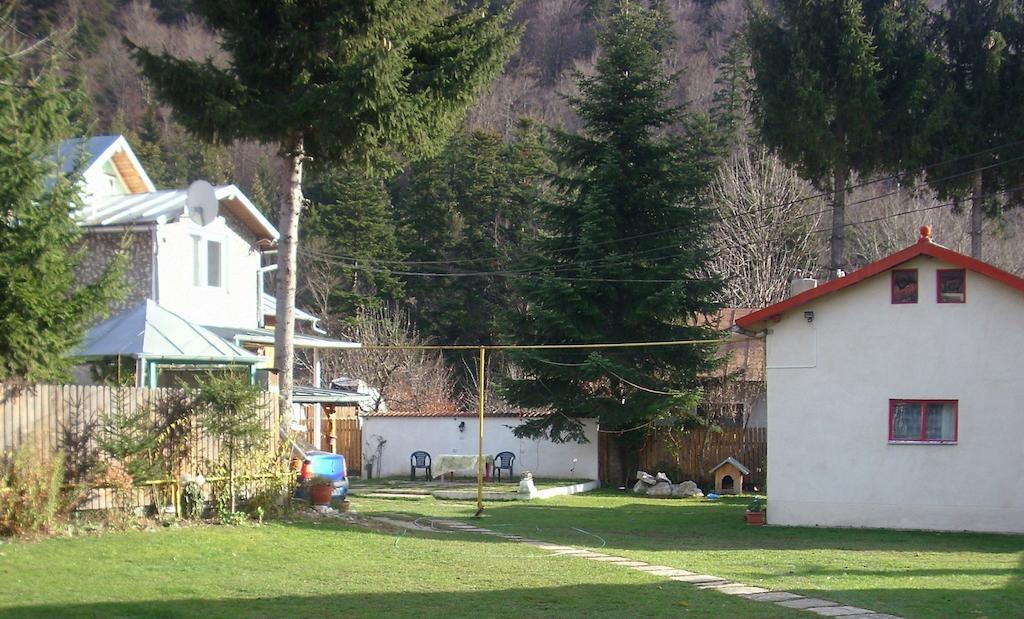 Buşteni 布什泰尼蒙坦旅馆酒店 外观 照片