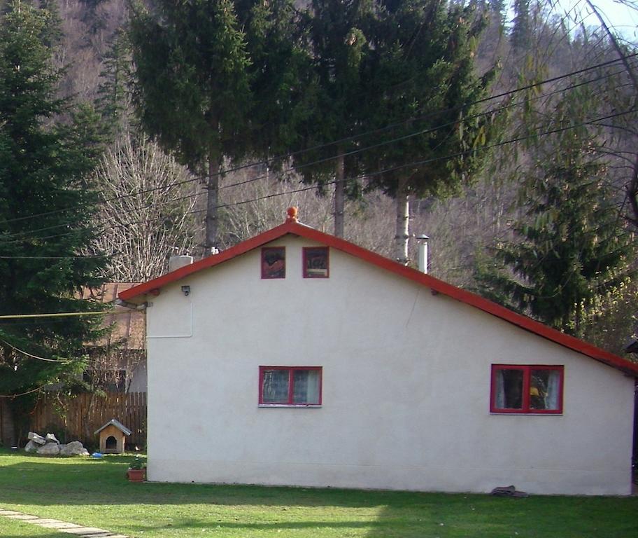 Buşteni 布什泰尼蒙坦旅馆酒店 外观 照片