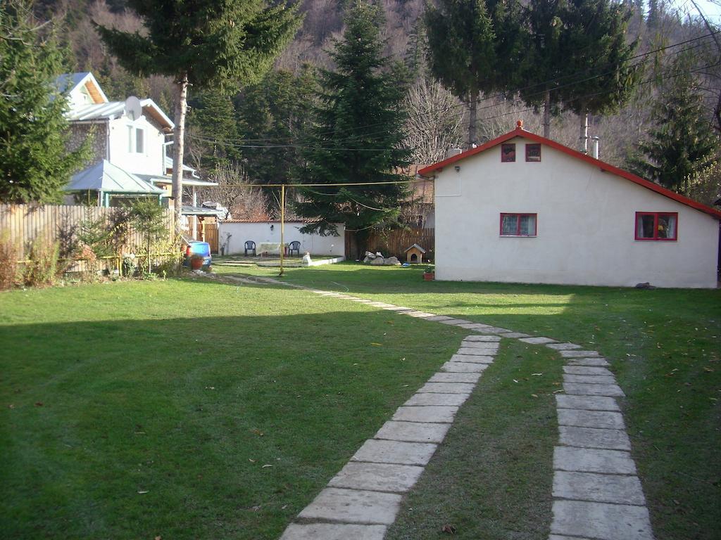 Buşteni 布什泰尼蒙坦旅馆酒店 外观 照片