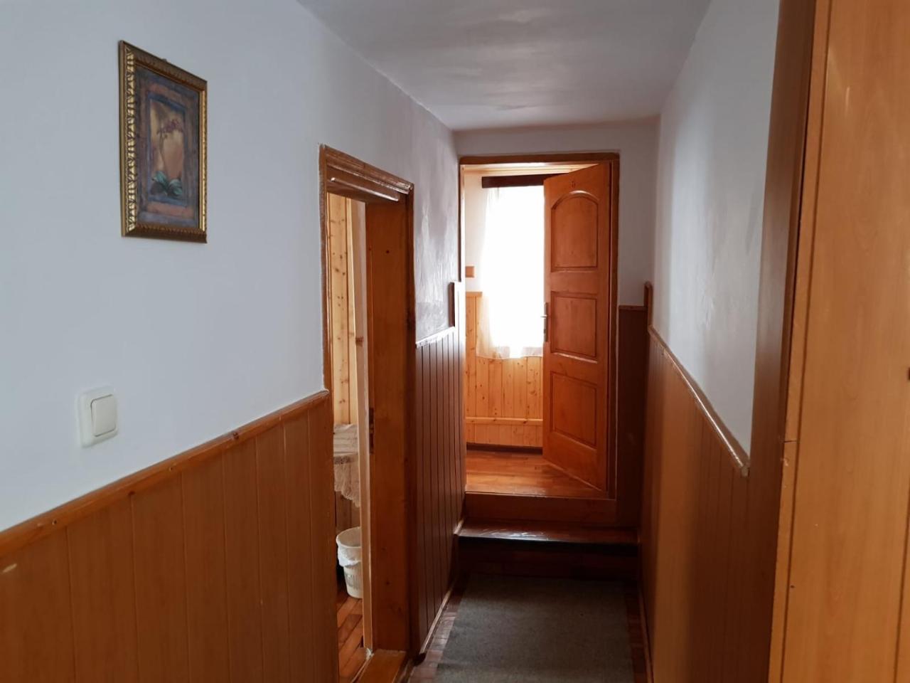 Buşteni 布什泰尼蒙坦旅馆酒店 外观 照片